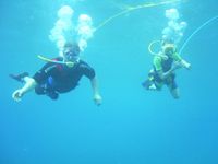 Tauchen - Diving